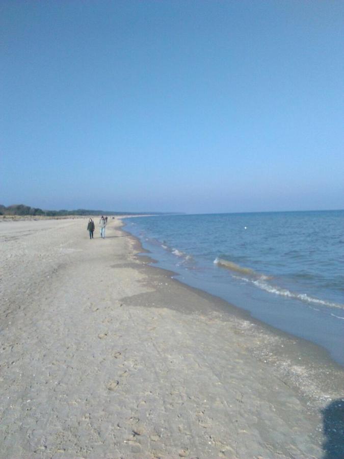 Ferienwohnung Am Seglerhafen Peenemunde Dış mekan fotoğraf